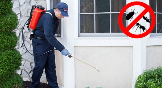 Mecitözü Bit İlaçlama böcek ilaçlama ve haşere kontrolü — ilaclama-tr.com